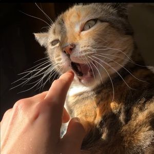 Meet your Posher, Cole